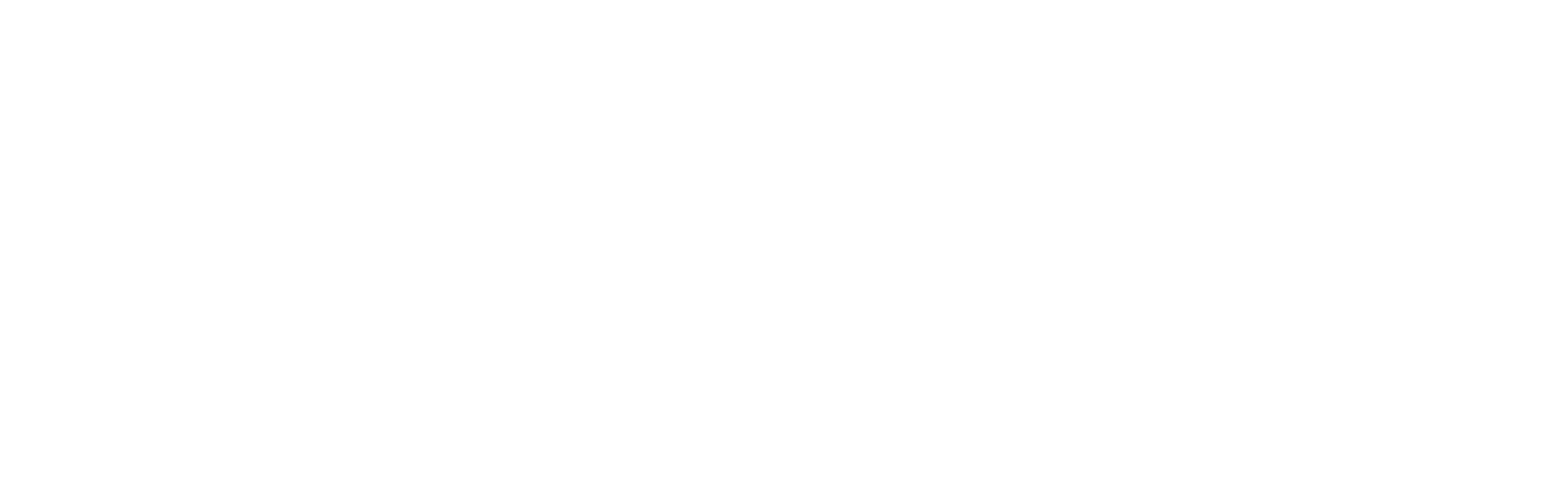 citrix logo white